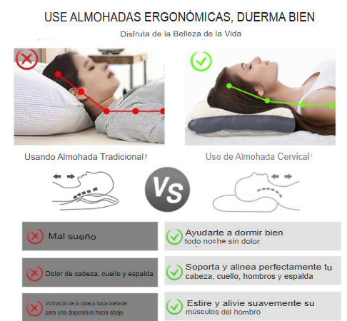 Ergorest® 🌙 Almohada Cervical